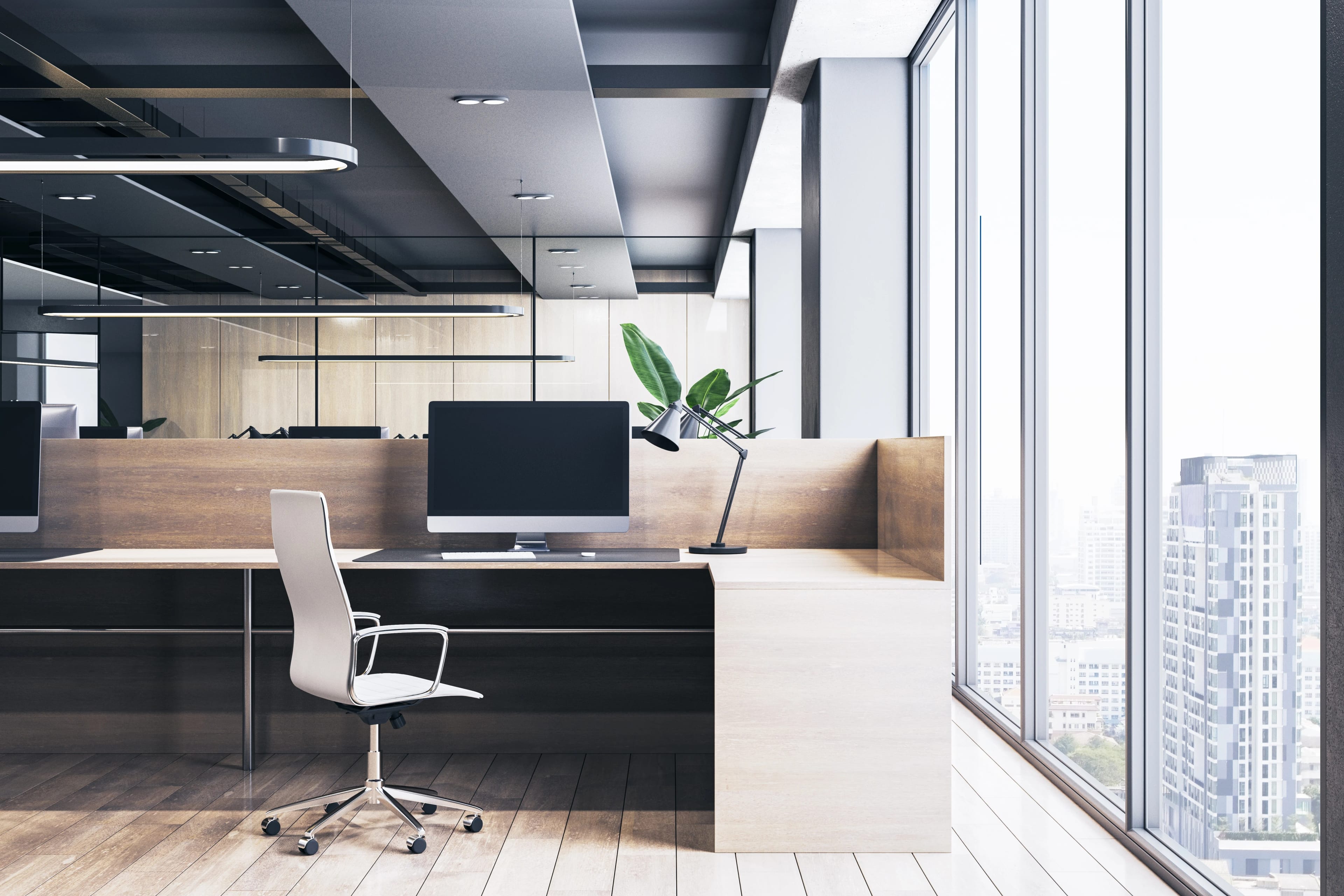Commercial Renovation